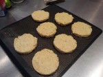 Biscuit