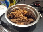 Morilles