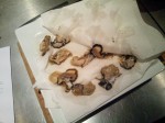Huitres egoutees