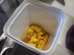 Mangue